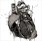 THE NOVEMBERS �̳�ƻ