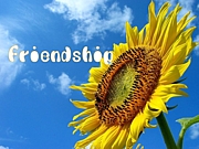 Friendship*