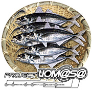 PROJECT UOM@S@