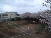 創価高校ハンドボール部