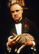 ���ܥ��ߥʡ���