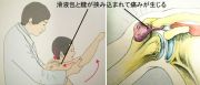 ԥ