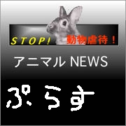 アニマルＮＥＷＳ＋