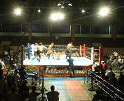 ���ո��ץ��쥹Ʊ����ʲ���