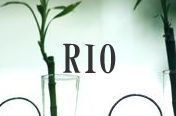 RIO-ꥪ-