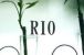 RIO-リオ-