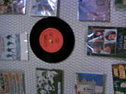 ������ؿ��ճڤβ�