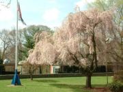 -Edgemont High School-