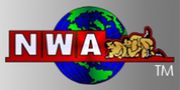 NWA　（新潟プロレス愛する会）