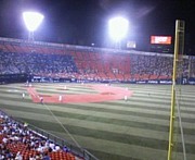 �����ե�����ɥʥ��ġ�