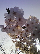 1991ǯ4��13�����ޤ�