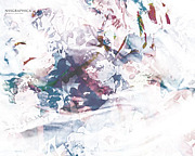 NSSGRAPHICA