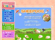 SHEEPDOG