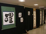 �����ؽ�ƻ�����