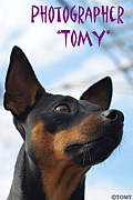 Photographer*TOMY*