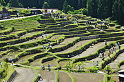 東紀州写真部