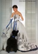 Speak　about beautiful　images