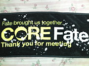 teamCORE Fate