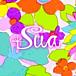 Sua�ʥ�������