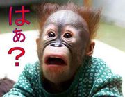 ���ݥ��ߥ�♫♫