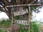 B&J farm