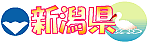 ܼ