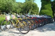 Cycling For Habitat