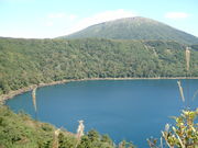 九大農学部水産学分野