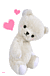 ŷ���ƻ������