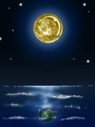 ���餫������������