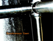 Synchronous Yawn/新東横音響派