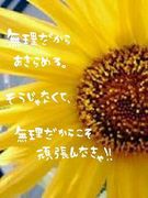 カヌーと浮き輪☆