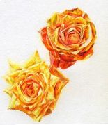 �ޤ�ޤ������