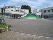 �������ع�_99ǯ��´����