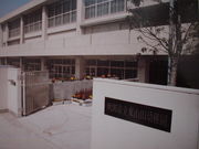 �컳�����ձ�