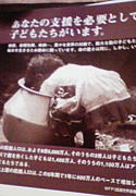 飢餓と餓死から救ってあげたい