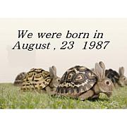 1987年8月23日生まれの輪