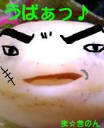 ��ޤ椲�ä������