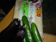 ����ʪ�������