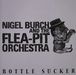 Nigl Burch&Flea-pit orchestra