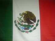 ��ΦLATIN��¤�ײ�