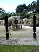 ������U^��^U