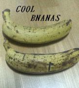 COOL BANANAS（クールバナナ）