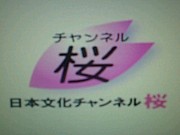 関西チャンネル桜