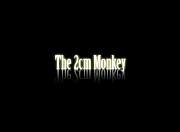 ƎӎݡThe 2cm Monkey