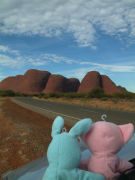 ノーザンテリトリー