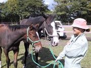牧場めぐり・名馬探しの旅
