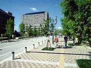 �����ر���� 97����ʮ�����