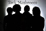 Back Mushroom