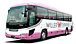 PINKBUS